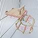 Bird Perches Cage Toys，Small Animals Nest Wooden Hanging Toy，Parrot Play Gym Stands with Acrylic Wood Swing,Rattan Ball,Ferris Wheel，Pet Training Playstand for Cockatiels/Conures/Hamster/Rat/Squirrelthumb 1