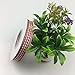 Red Gingham Ribbon Woven Edge Checkered Craft 25 Yards Ribbon Roll, 3/8 Inch Wide