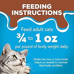 Purina Friskies Gravy Pate Wet Cat Food, Extra