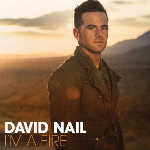 David Nail - When They