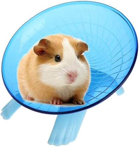 hamster flying saucer