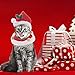 SCENEREAL Christmas Cat Costumes Santa Hats and Collar for Cats Small Dogs Tiny Pets X-mas Gifts