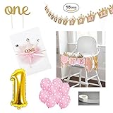 Baby Girl First Birthday Decorations Party Accessories & Supplies | 1st B-day Girls Decoration Set: Huge 1 Balloon, One Cake Topper, Photo Banner, Birthday Crown, Highchair Banner & Pink Balloons