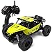 KingPow 2WD Rc Car 2.4GHz Radio Remote Control Truck 1:16 Electric Rock Crawler Control Cars Off Road High Speed 25KM/h-Yellow