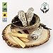 SMUDGING KIT STICKS - Sage Incense Sticks for Spiritual Chakra Cleansing, White Sage, Palo Santo & Abalone Shell for Healing Incense, Protection, Good Luck & Prosperity, Home Cleansing & Blessing Kit