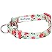 Blueberry Pet Spring Scent Inspired Rose Print Martingale Safety Training Dog Collar, Turquoise, Medium, Heavy Duty Adjustable Collars for Dogs
