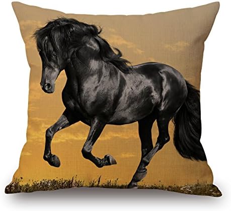RISEE Pillow Covers 18 X 18 Inches / 45 By 45 Cm(two Sides) Nice Choice For Study Room,bench,gril Friend,car Seat,gf,bench Horse