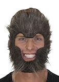 27884 Gray Werewolf Face Mask