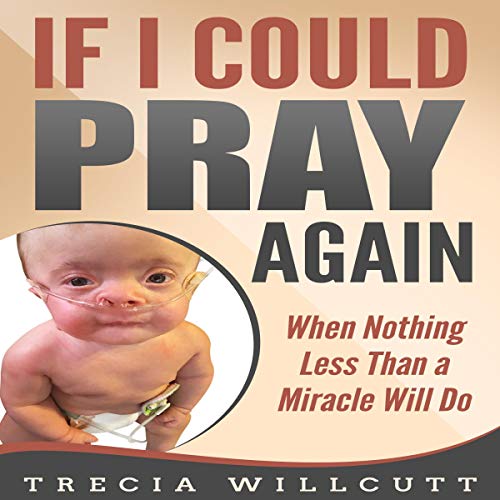 [FREE] If I Could Pray Again: When Nothing Less than a Miracle Will Do Z.I.P