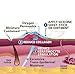 Epiderm Areola Circles – Silicone Scar Sheets for Surgical Scars from Areola Reconstruction & Breast Augmentation - Washable & Reusable Silicone Sheets - Complements Mastopexy Forms - 1 Pair, Clear