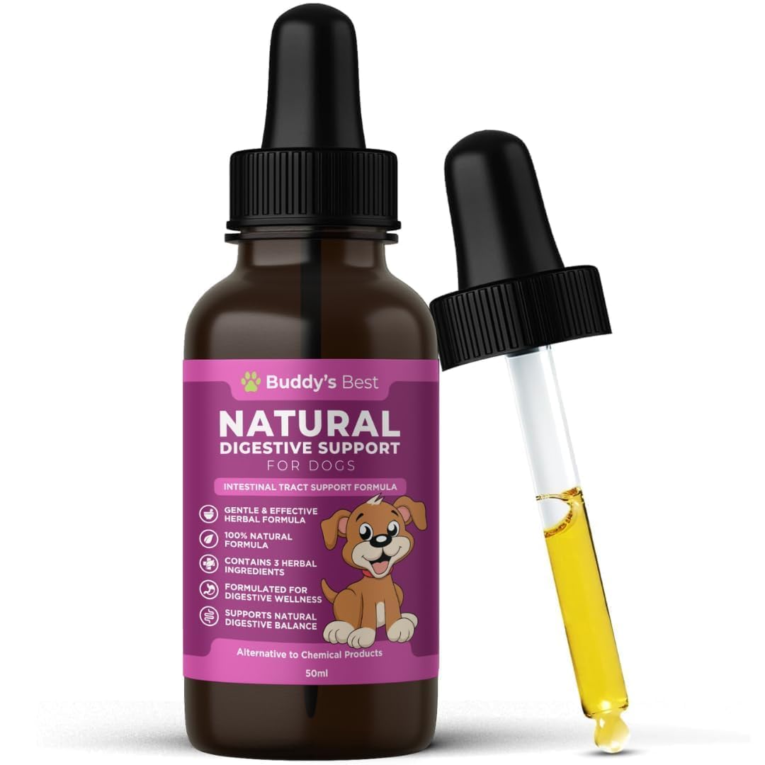 Woodworm Natural Digestive Support for Dogs | Plant-Based Formula with Herbal Extracts | Supports Gut Health & Intestinal Wellness | Gentle Care for Dogs with Sensitive Stomachs – 50ml