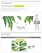 iwallsticker Palm Tree Wall Decals Wall Stickers for Kids Room Bedroom Living Room Home Decor