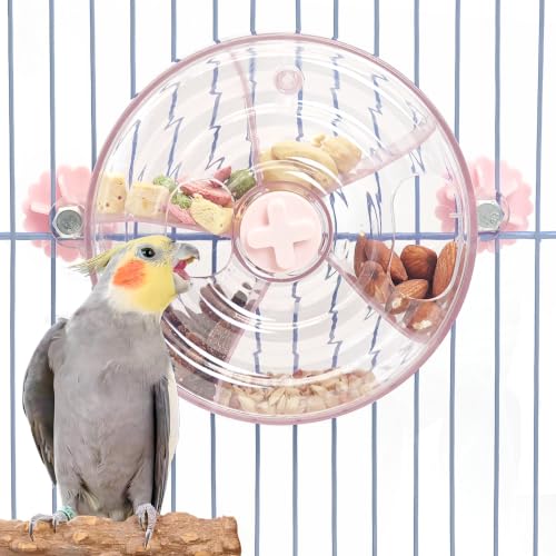 BNOSDM Bird Foraging Wheel