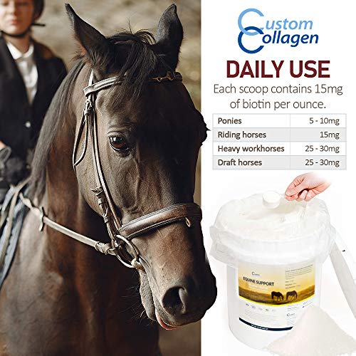 Custom Collagen Equine Joint Support Gelatin Plus Biotin Supplement for