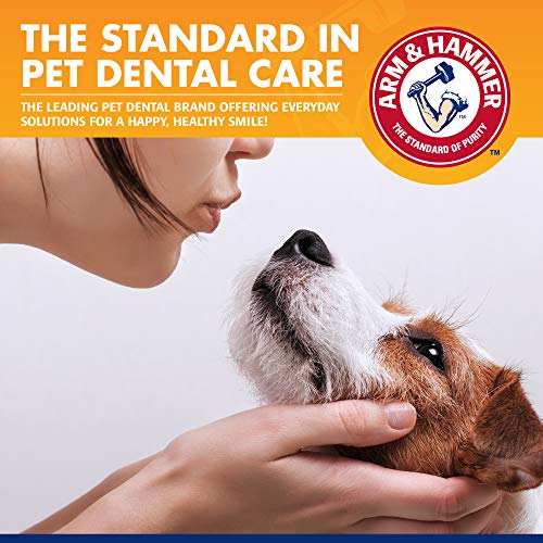 Arm & Hammer for Pets Tartar Control Kit for Dogs 3Piece Kit