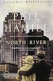 Front cover for the book North River by Pete Hamill