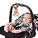 Seprovider Baby Toys, Colorful Rabbit Infant Stroller Toys Washable Squeaker Car Toys, Kids Hanging Toy for Crib with Rattle Ring, Mirror for Self Discovery, Teethers