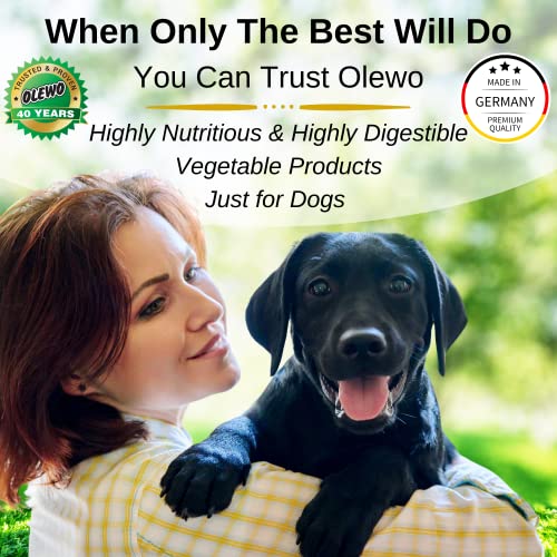beets for dog allergies