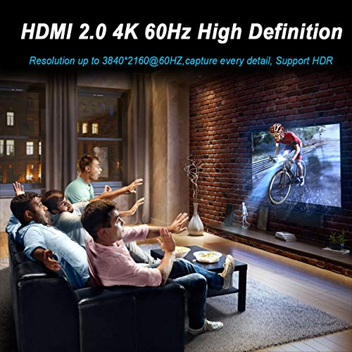1 DisplayPort+Adapter+Compatible+ThinkPad+Desktop
