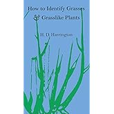 How to Identify Grasses and Grasslike Plants: Sedges and Rushes