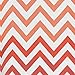 iDesign Ombre Chevron Fabric Bathroom Shower Curtain - 72