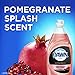 Dawn Gentle Clean Dishwashing Liquid Dish Soap Pomegranate Splash 24 oz