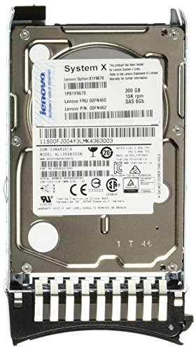 IBM SAS 16 MB Cache 300 GB 2.5-Inch Internal Hard Drive 81Y9670