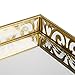 Walfront Brass Mirrored Ornate Decorative Tray Brass Tone Clear Glass Metal Decorative Tray Display Jewelry Tray Organizer