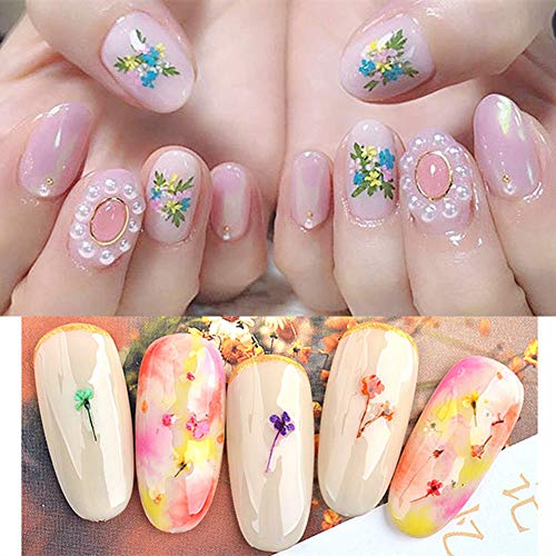 editTime 36 Colors Nail Dried Flowers 3D Nail Art Sticker, Flower Beauty Nail Stickers for Manicure, Natural Real Dry Flower Kit with a Curved Tweezers and a Nail Brush(4) - Thumbnail 6
