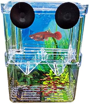Amazon Xiannvv 繁殖隔離ボックス ペットの魚飼育用の水槽 水族館の魚の繁殖箱 水族館の魚の繁殖箱 多機能 エビカクレクマノミ用 魚 金魚 水槽 孵化 産卵箱 水族館アクセサリー Xiannvv 繁殖用タンク 通販