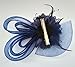 Women's Fascinators Hat Small Hairpin Feather Mesh Flower Hairclip (Navy Blue)