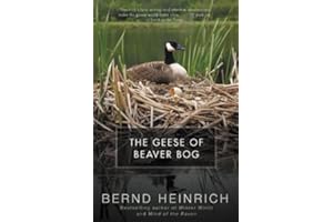 The Geese of Beaver Bog: An Award-Winning Biologist's Delightful Memoir—Fostering a Gosling and Studying Canada Geese