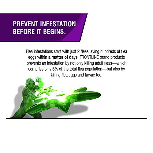 Flea And Tick Control For Dogs 45 To 88lbs Frontline Plus 3 Doses