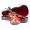 Miniatur Geige 25cm Violine mit Bogen und Koffer Deko Antik-Stil ohne Funktion
