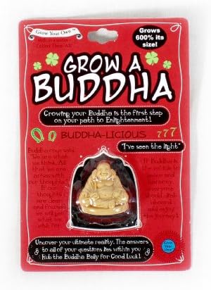 Grow A Buddha: Grows 600% Its Size