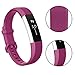 Vancle For Fitbit Alta HR Bands and Fitbit Alta bands, Newest Sport Replacement Wristbands with Secure Metal Buckle for Fitbit Alta HR/Fitbit Alta(Champagne Rose-Gold fuchsia, Large)