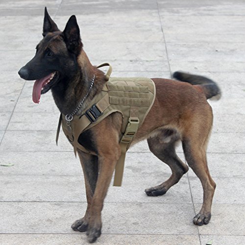 icefang tactical harness