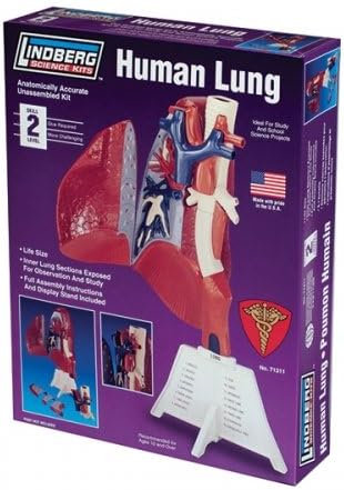 Lindberg Human Lung