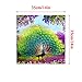 5D Diamond Painting, MAMTAT DIY Crystals Painting Embroidery Kits Mosaic Crafts Cross Stitch Embroidery, Home Wall Decor, Rhinestone Painting Pictures Of Arts 14”14“(Peacock)