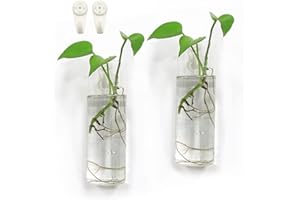 Bunhut Wall Planters for Indoor Plants,Wall Hanging Terrarium Planters,Glass Wall Planters for Floral Arrangement,Hanging Plant Holder, Wall Vase,Wall Mounted Planters (2 Glass Wall Planter)
