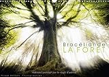 Broceliande, La Foret 2018: Photographies De La Foret De Broceliande (Calvendo Nature) (French Editi by