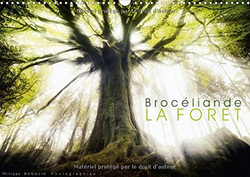 Broceliande, La Foret 2018: Photographies De La Foret De Broceliande (Calvendo Nature) (French Editi by (Calendar)