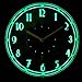 ADVPRO cnc2012-y Vintage Design Illuminated Edge Lit Bar Beer Neon Sign Wall Clock with LED Night Light