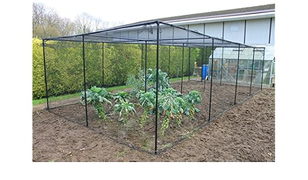 Premium frutas y vegetales jardín jaulas - sólido negro Metal ...