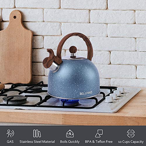 Tea Kettle, Quart Liter BELANKO Stainless Steel Tea
