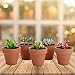 GROWNEER 48-Pack 2” Mini Clay Pots Terracotta Pot with 25 Pcs Plant Labels, Ceramic Pottery Planter Cactus Succulent Nursery Pots, for Indoor Outdoor Plants, Crafts, DIY, Wedding Favor