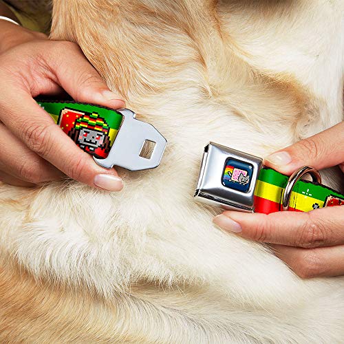 Buckle-Down Seatbelt Buckle Dog Collar - Rasta Nyan Cat Stripe Green/Yellow/Red…