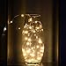 LOENDE 33ft 100 Led String Lights Dimmable, Cooper Wire Starry String Lights with Remote Control for Bedroom, Restaurant, Bars, Frames, Holiday, Party, Wedding Decorations (Warm White)