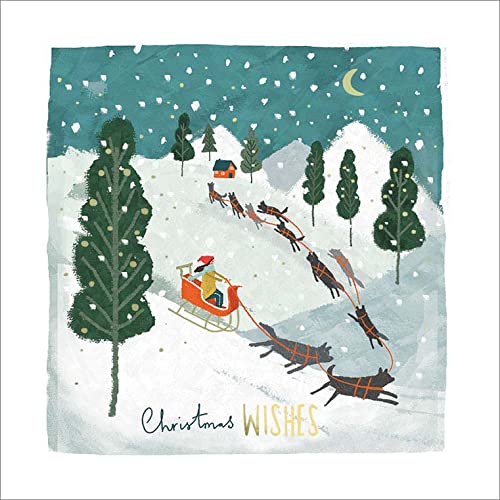 Pack of 8 Snow Sledding Marie Curie Charity Christmas Cards Xmas Cards 556835