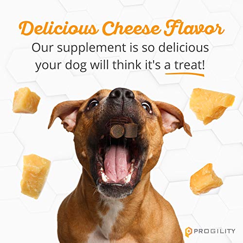 Nootie Progility Chewable Glucosamine for Dogs Probiotics for Dogs Dog Glucosamine